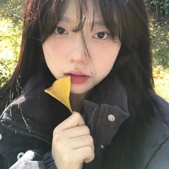 尼姆岛